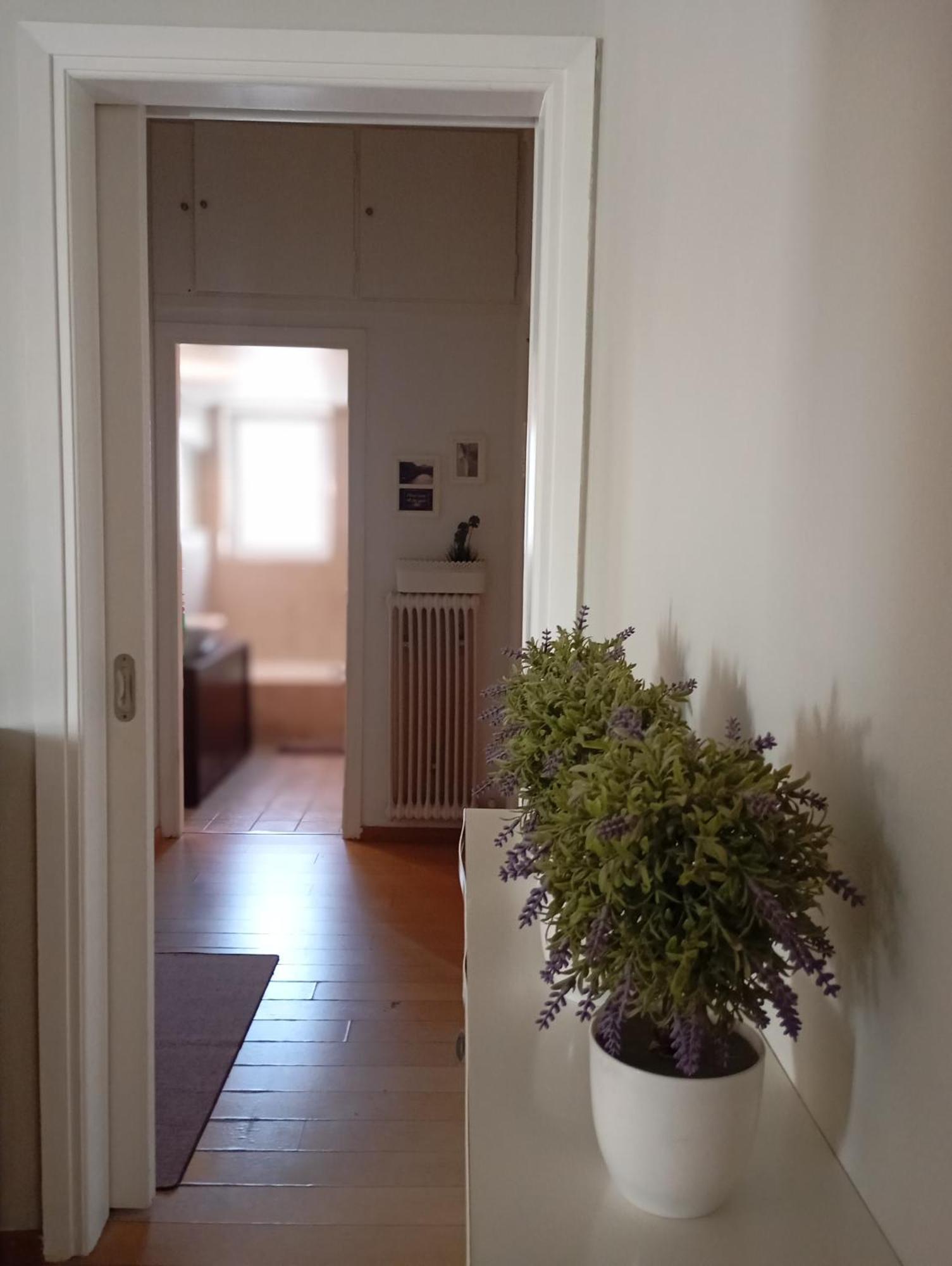 Tiny Little Suite 雅典 外观 照片